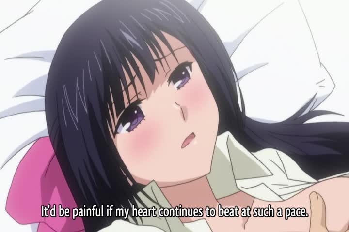 Ojousama Yomeiri Kousou!