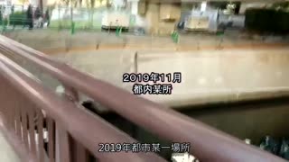 順從寢取願望老公的真正素人人妻 case16 專業主婦・高木陽菜（假名）26歳 SDNT-017