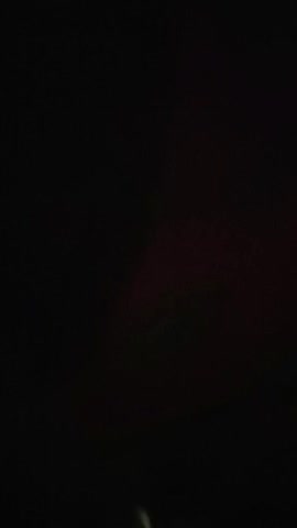 1022zb032小黑寻欢20211020