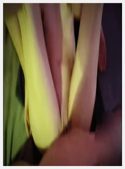 坐在我屁股上，迪克坐在我娘娘腔上