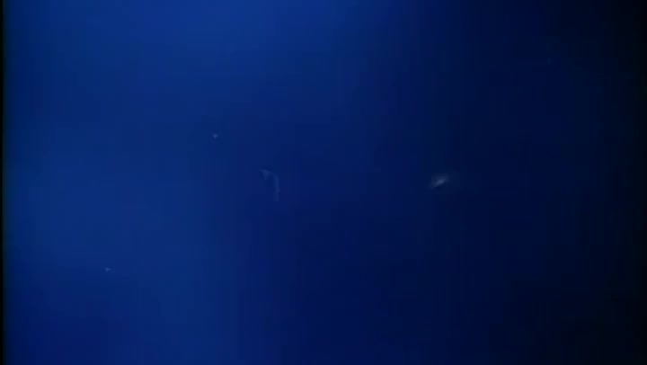 不扣钮的女孩GirlsUnbutton1993DVDripx2642AudioRomantic