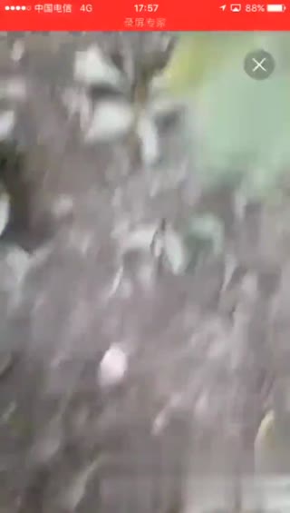 上山打炮 男主播带小女友从白天野战到黑夜