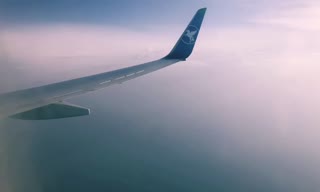 金发女郎手淫猫在飞机-热独奏