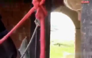 “金发在动物症的场景中沿马提供裸体