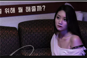 爱伴侣 섹스메이트 (2017)