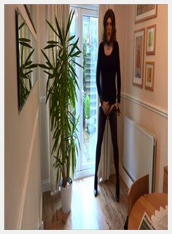 肛门 充气, 打气筒