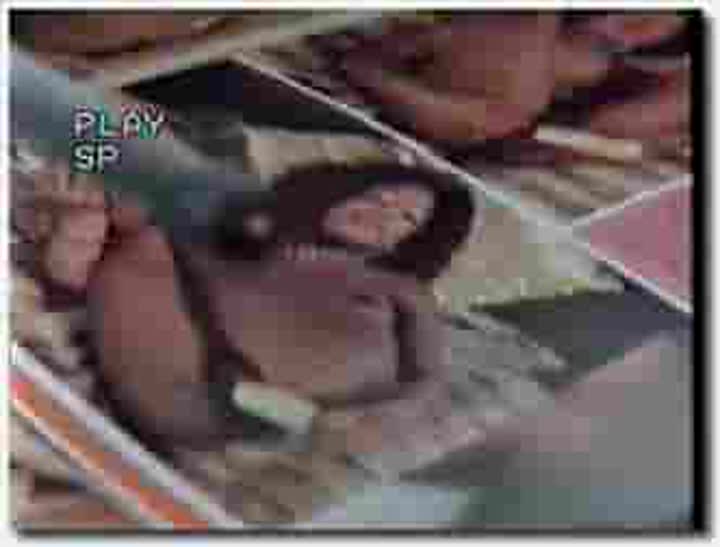 ！人与动物~人兽集锦~Color Climax 282 Animal Orgy