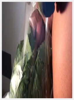 大奶酷刑, 十大酷刑