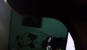 귀여운 한매가 귀여워 아첨하다