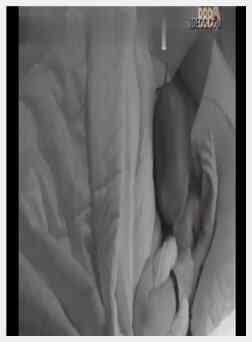 克莱米尔多在桑塔纳