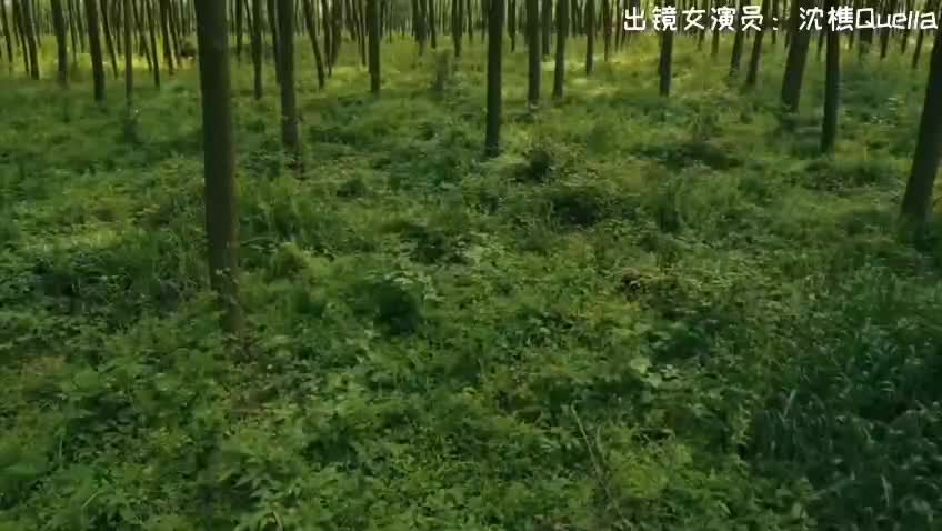 刺激战场会所啪啪 new