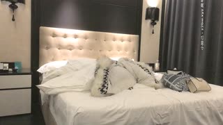 文轩探花01-24身材苗条兼职小姐姐