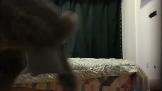 公子哥 夜店撩妹撩到性感模特!!丝袜撕爆捅的她淫荡娇喘~“不要~亲爱的快干我~”