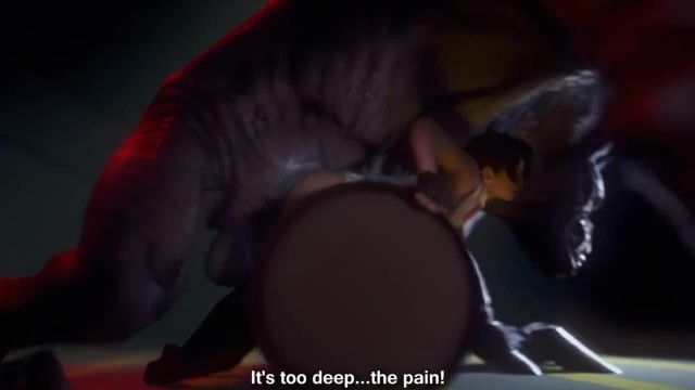 动物6亨泰18。mp4