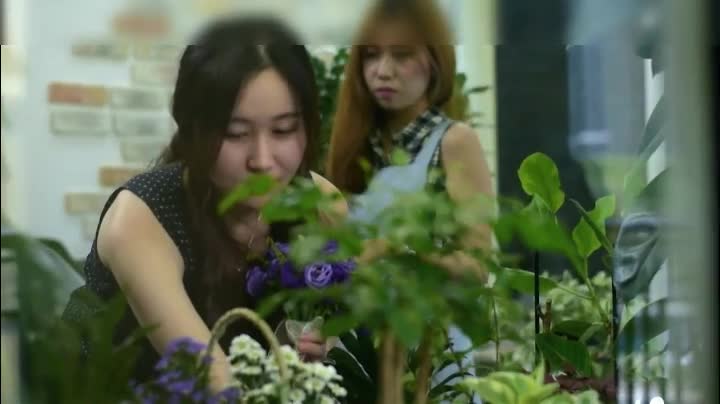 偷窥的欲望Voyeurism2016WEBDL1080PX264AACCHT new