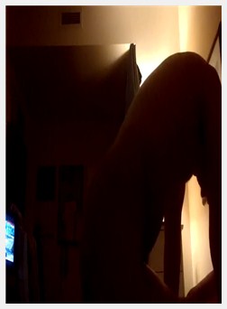 大家伙殴打我和牲畜